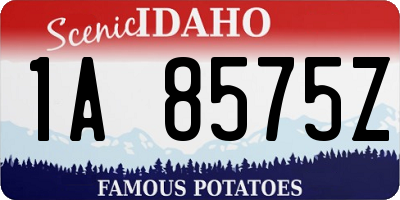 ID license plate 1A8575Z