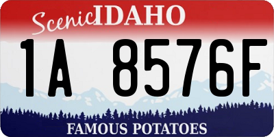 ID license plate 1A8576F