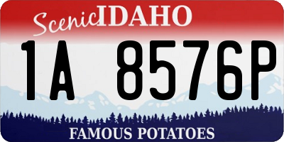 ID license plate 1A8576P