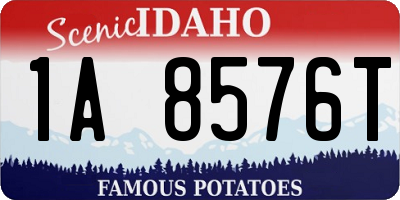 ID license plate 1A8576T