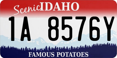 ID license plate 1A8576Y
