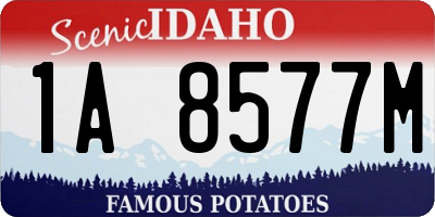 ID license plate 1A8577M