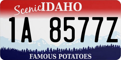 ID license plate 1A8577Z