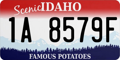 ID license plate 1A8579F