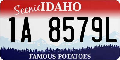ID license plate 1A8579L