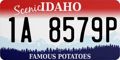 ID license plate 1A8579P