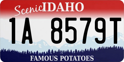ID license plate 1A8579T