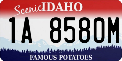 ID license plate 1A8580M
