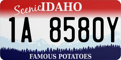 ID license plate 1A8580Y