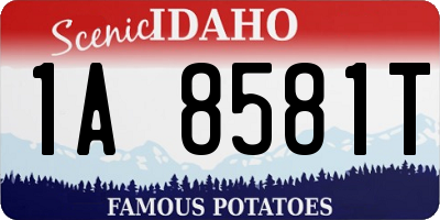 ID license plate 1A8581T
