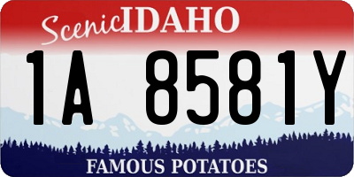 ID license plate 1A8581Y