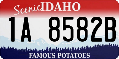 ID license plate 1A8582B
