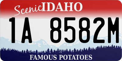 ID license plate 1A8582M
