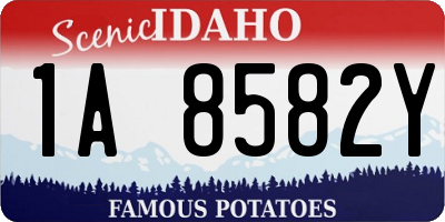 ID license plate 1A8582Y