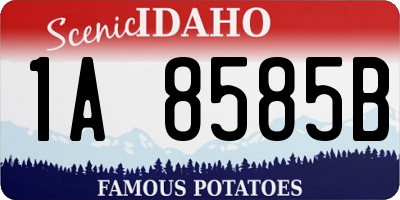 ID license plate 1A8585B