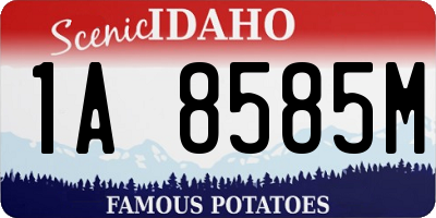 ID license plate 1A8585M