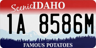 ID license plate 1A8586M