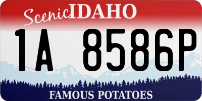 ID license plate 1A8586P