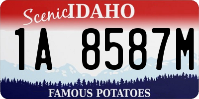 ID license plate 1A8587M