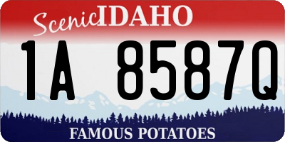 ID license plate 1A8587Q