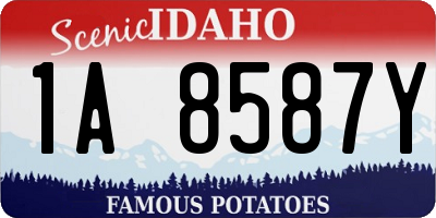ID license plate 1A8587Y
