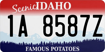 ID license plate 1A8587Z