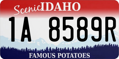 ID license plate 1A8589R