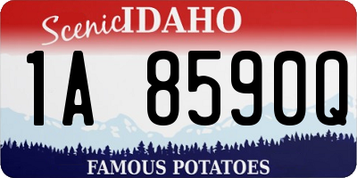 ID license plate 1A8590Q