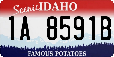 ID license plate 1A8591B