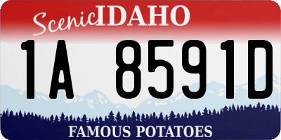 ID license plate 1A8591D