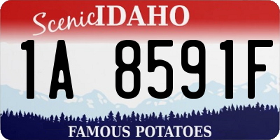ID license plate 1A8591F