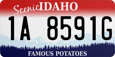 ID license plate 1A8591G
