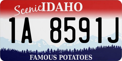ID license plate 1A8591J