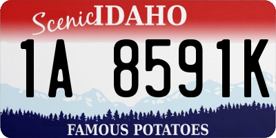 ID license plate 1A8591K