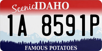 ID license plate 1A8591P
