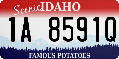 ID license plate 1A8591Q