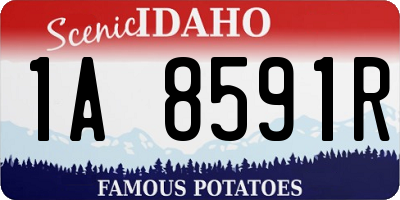 ID license plate 1A8591R