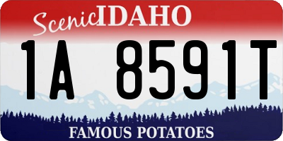 ID license plate 1A8591T