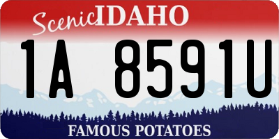 ID license plate 1A8591U