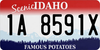 ID license plate 1A8591X