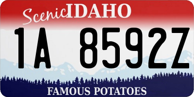 ID license plate 1A8592Z