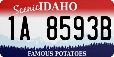 ID license plate 1A8593B
