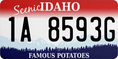 ID license plate 1A8593G