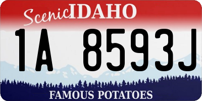 ID license plate 1A8593J