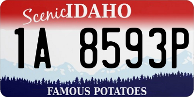 ID license plate 1A8593P