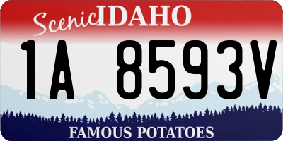 ID license plate 1A8593V