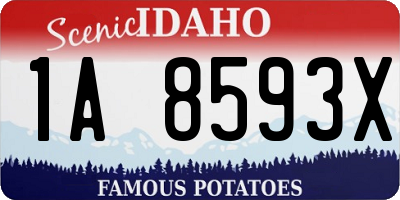 ID license plate 1A8593X