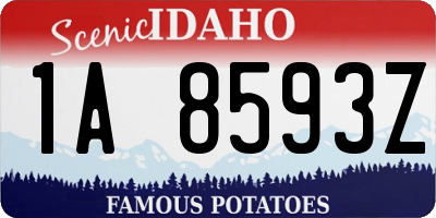 ID license plate 1A8593Z