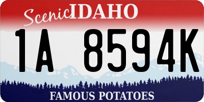 ID license plate 1A8594K