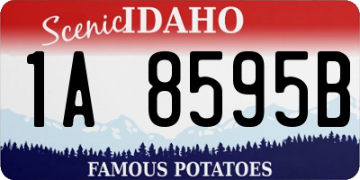 ID license plate 1A8595B